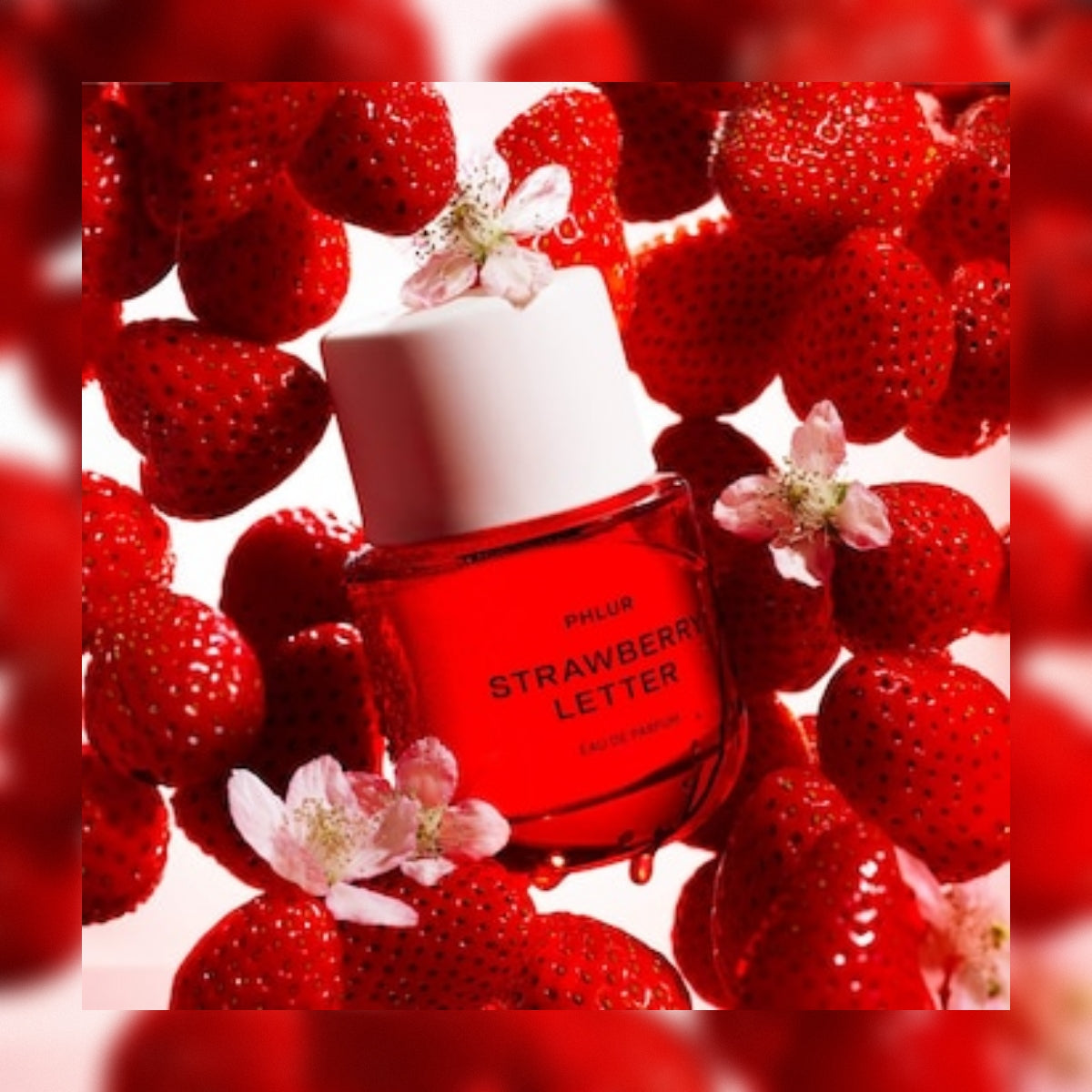 Strawberry Fantasy