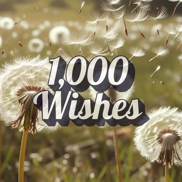 1000 wishes