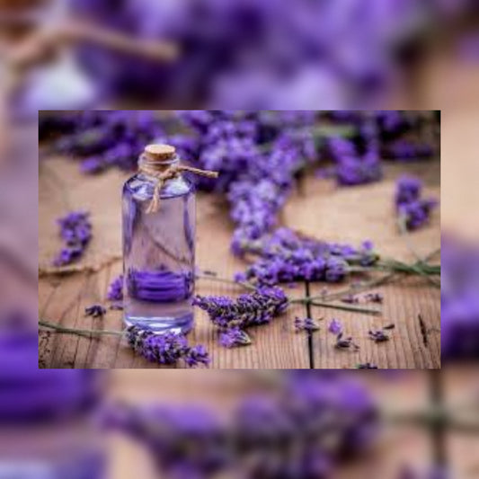 Lavender