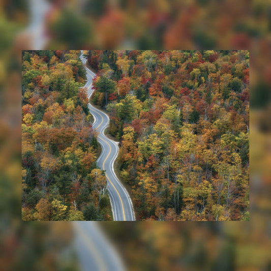 Country Roads