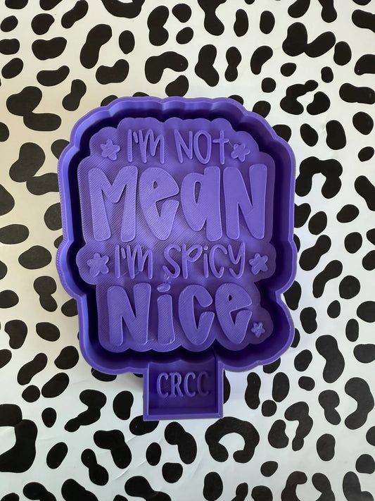 I'm Not Mean I'm Spicy Nice Mold #107