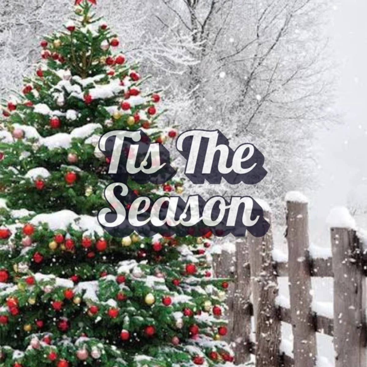 Tis The Season